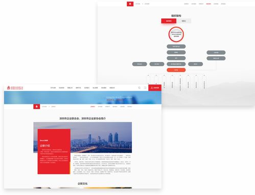 深圳企業聯合會攜手沙漠風網站建設公司，打造長春企業數字化轉型標桿